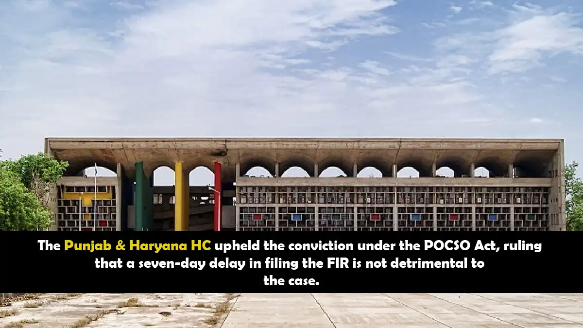 Punjab & Haryana High Court – 28th June 2024