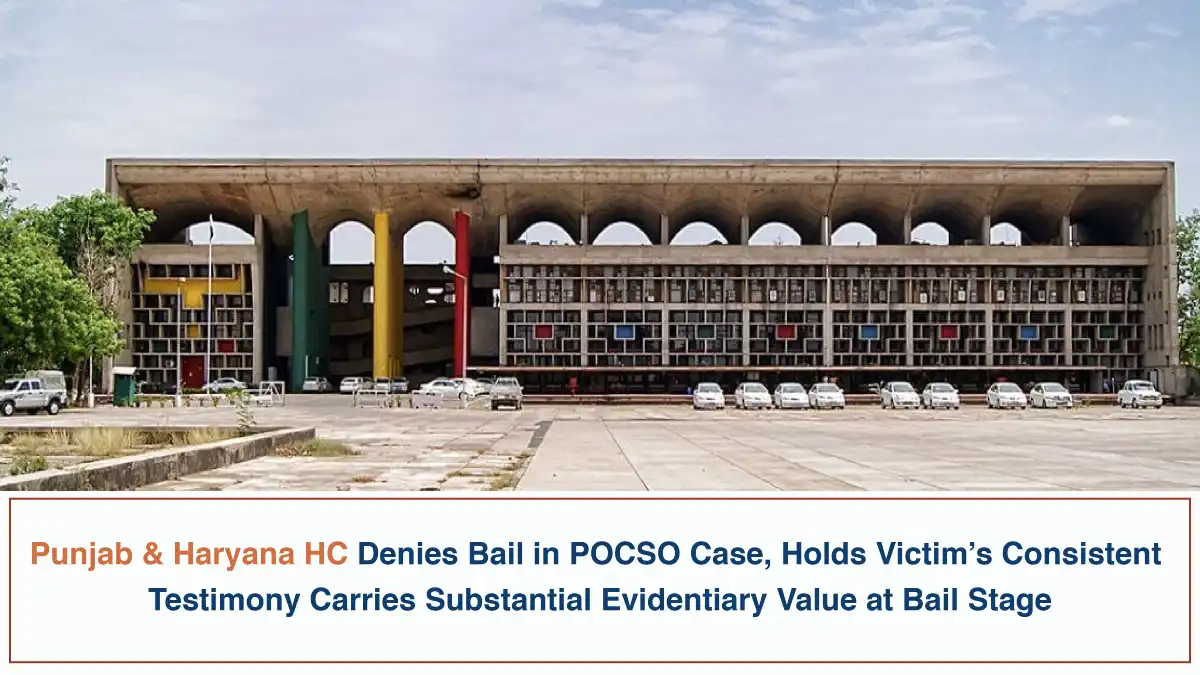 Punjab & Haryana HC Denies Bail in POCSO Case, Holds Victim’s Consistent Testimony Carries Substantial Evidentiary Value at Bail Stage
